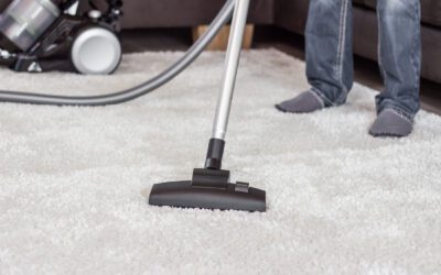 Dry Carpet Cleaners